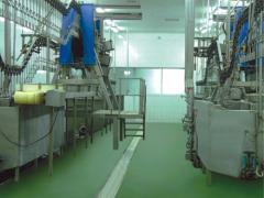 江苏海鸥食品机械制造有限公司 剥蜡设备